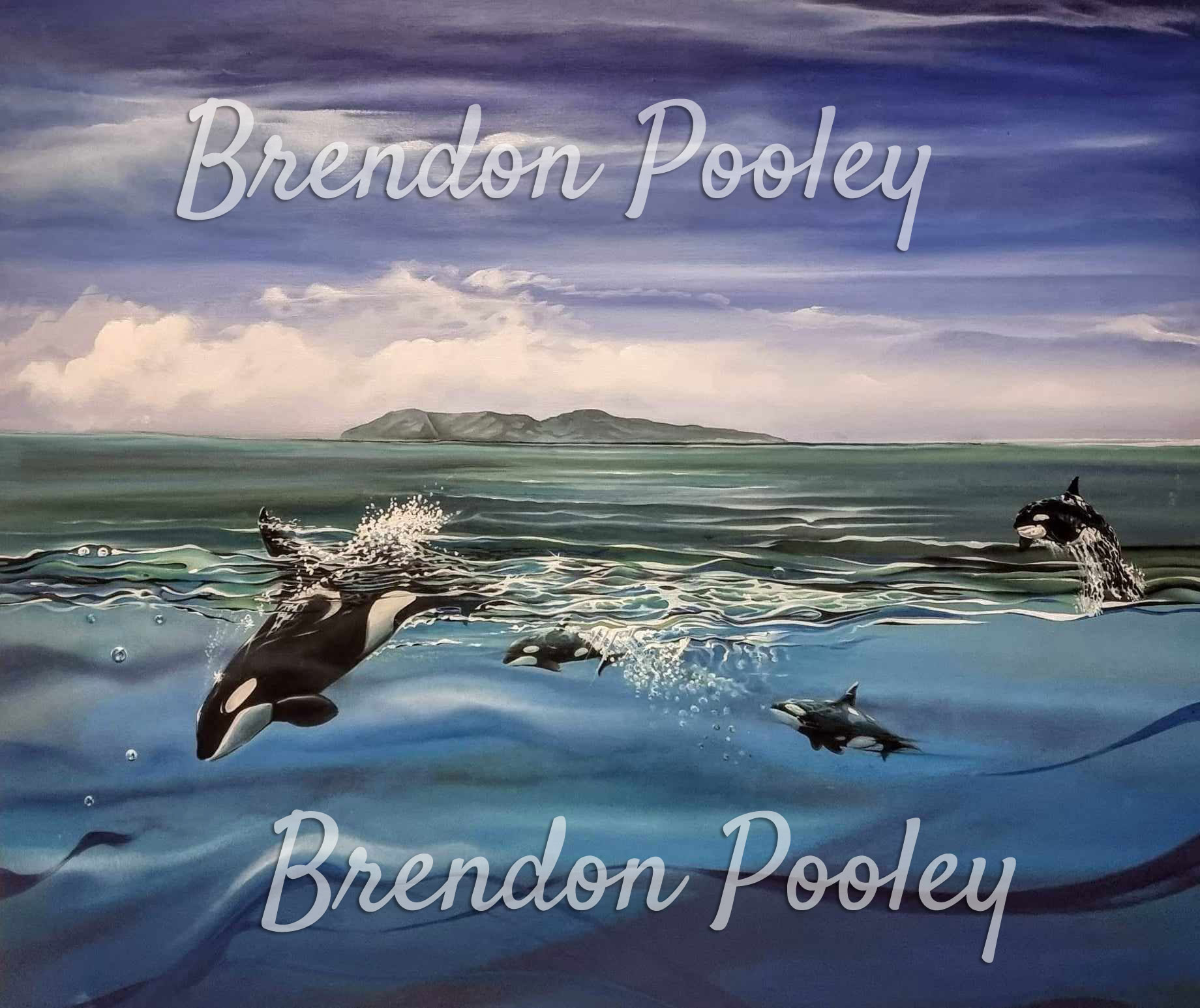 orcas playing-new-zealand-paintings